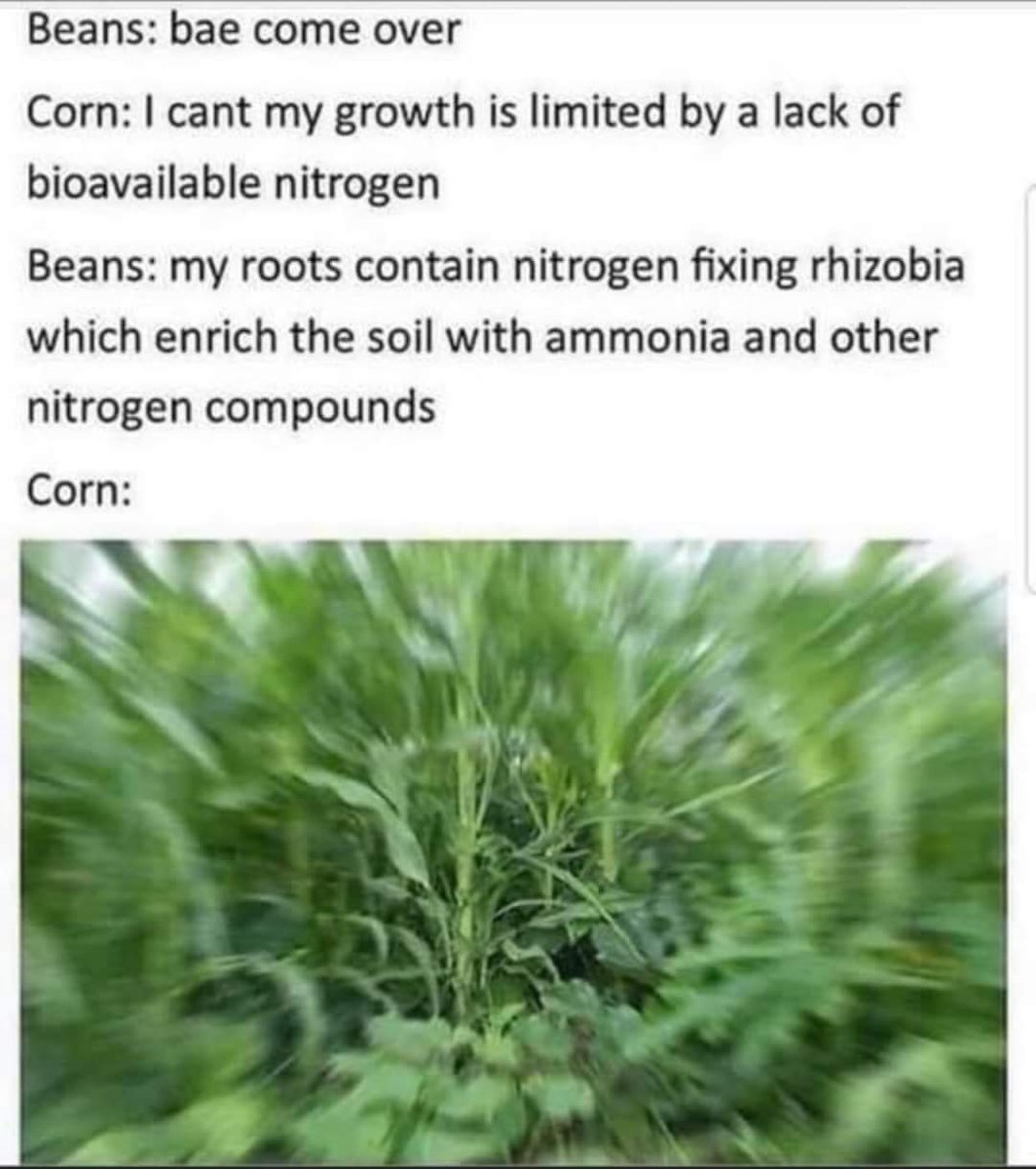 Valorie__Marie's tweet photo. These are some fun science memes I've saved! Enjoy https://t.co/hy49zNZRXN