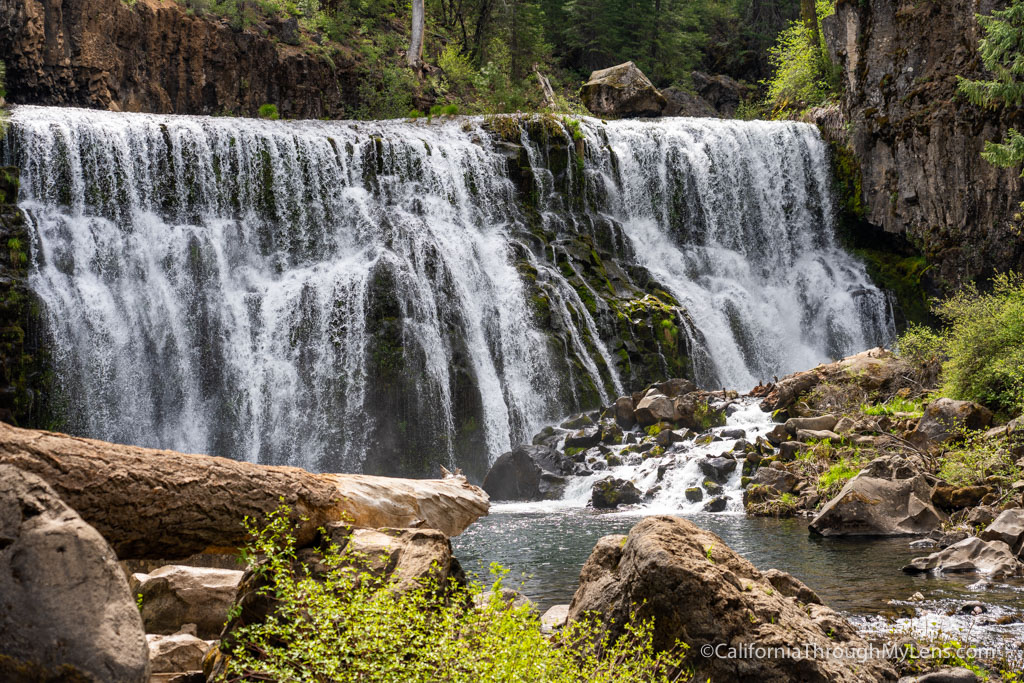 Cali Through My Lens (@cathroughmylens) on Twitter photo Looking for a fun hike in Siskiyou County? Here are a few of my favorites. Let me know what your favorite is! <a href="/SeeSiskiyou/">Discover Siskiyou</a> #DiscoverSiskiyou #SeeSiskiyou #sponsored californiathroughmylens.com/9-hikes-in-sis… Looking for a fun hike in Siskiyou County? Here are a few of my favorites. Let me know what your favorite is! <a href="/SeeSiskiyou/">Discover Siskiyou</a> #DiscoverSiskiyou #SeeSiskiyou #sponsored californiathroughmylens.com/9-hikes-in-sis…