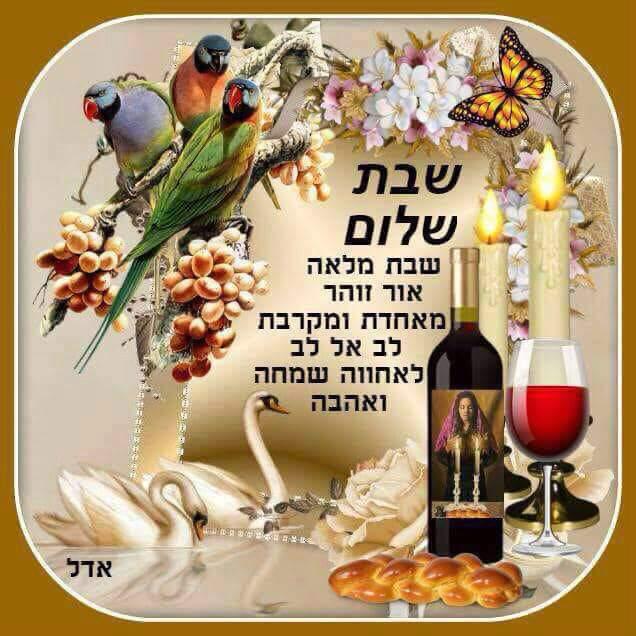 צsarasharir (@sarasharir1) on Twitter photo 