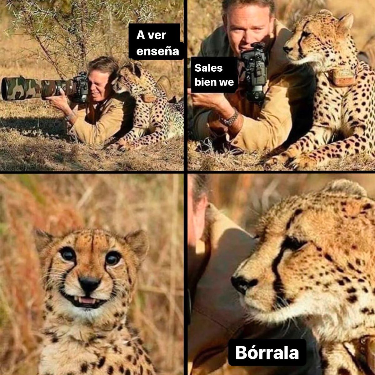 Así soy cuando me toman fotos: