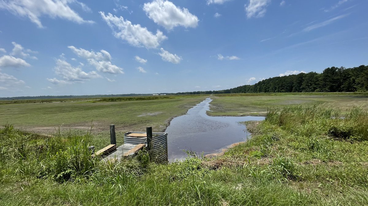 Howard Dunleavy tweet media