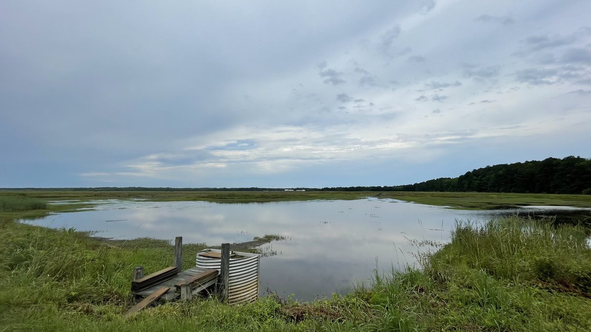 Howard Dunleavy tweet media