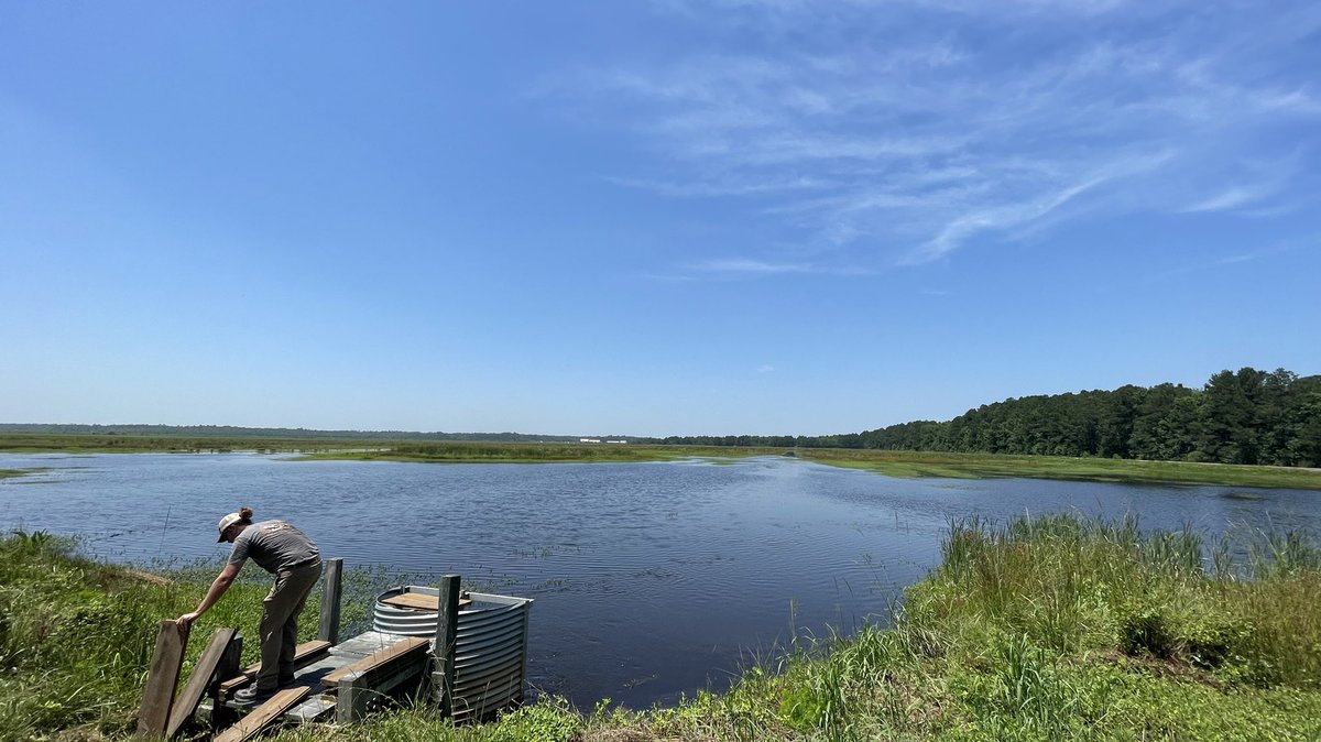 Howard Dunleavy tweet media