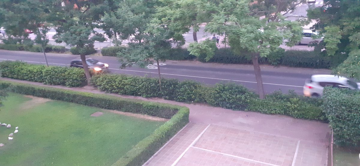 NaseiroAna's tweet photo. @AytoAlcalaH Después de 12 años pagando impuestos uno se cansa se ver el Paseo de Pastrana lleno de mierda y el cachondeo de cortar los setos mal, sin visibilidad para salir del garaje...si en mo cc nos damos una ostia supongo que podremos pedir responsaabilidades. https://t.co/Y0t25Rl6Fv