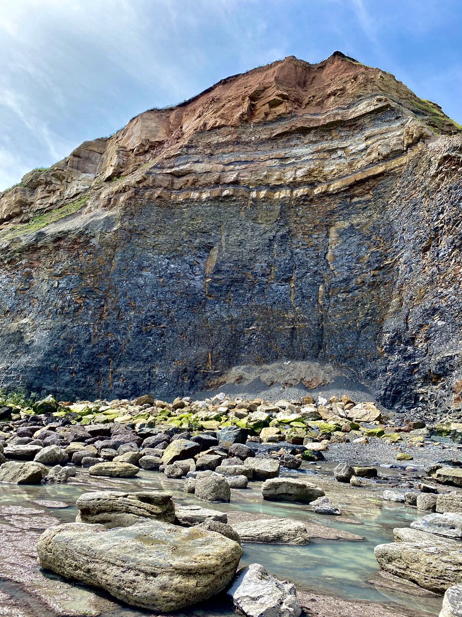 AaronQuigley11's tweet image. Just got back from an amazing week at #progpal! First in person conference ever and first since starting my PhD. Couldn’t have asked for a better one, lots of amazing people and fantastic research! Next up PalAss! #progpal22 #stem #paleontology #palaeontology #phdlife #phd