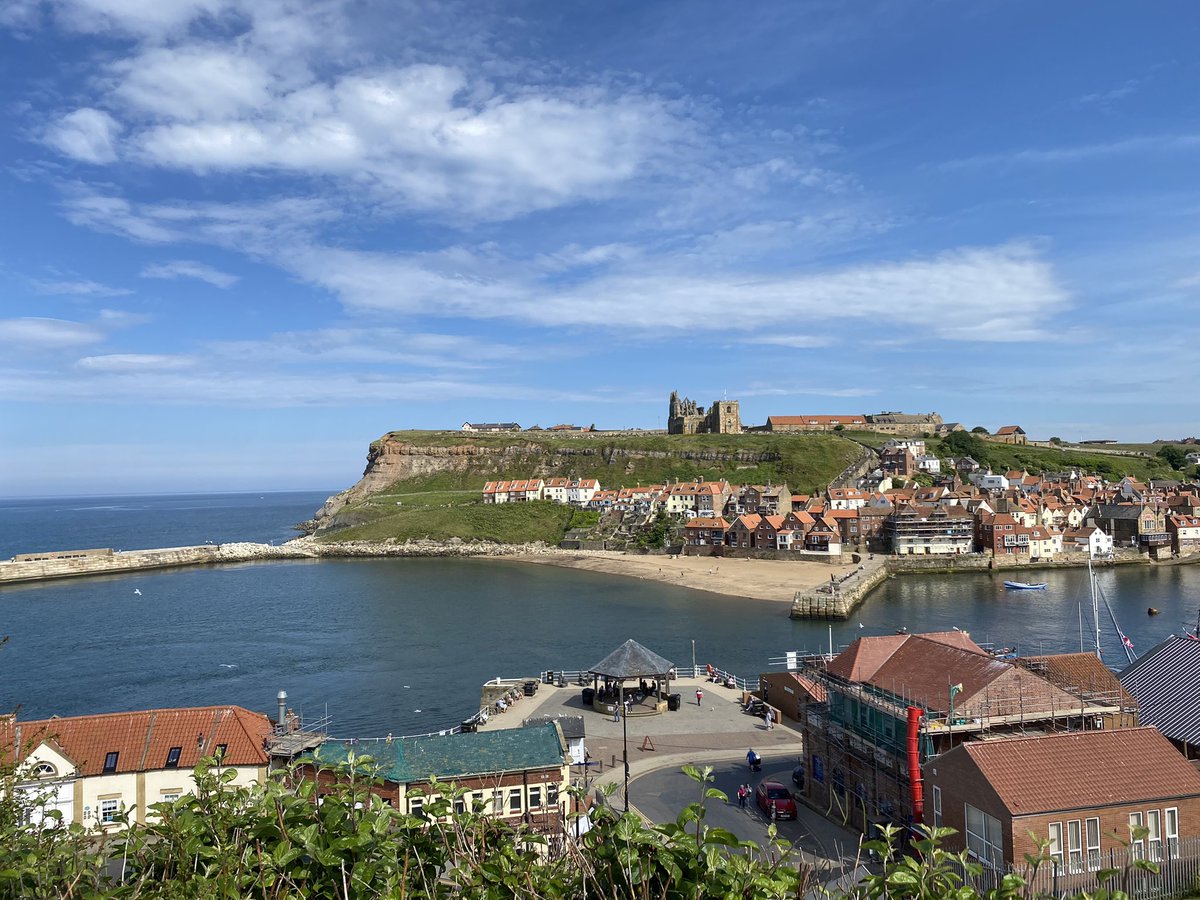 AaronQuigley11's tweet image. Just got back from an amazing week at #progpal! First in person conference ever and first since starting my PhD. Couldn’t have asked for a better one, lots of amazing people and fantastic research! Next up PalAss! #progpal22 #stem #paleontology #palaeontology #phdlife #phd