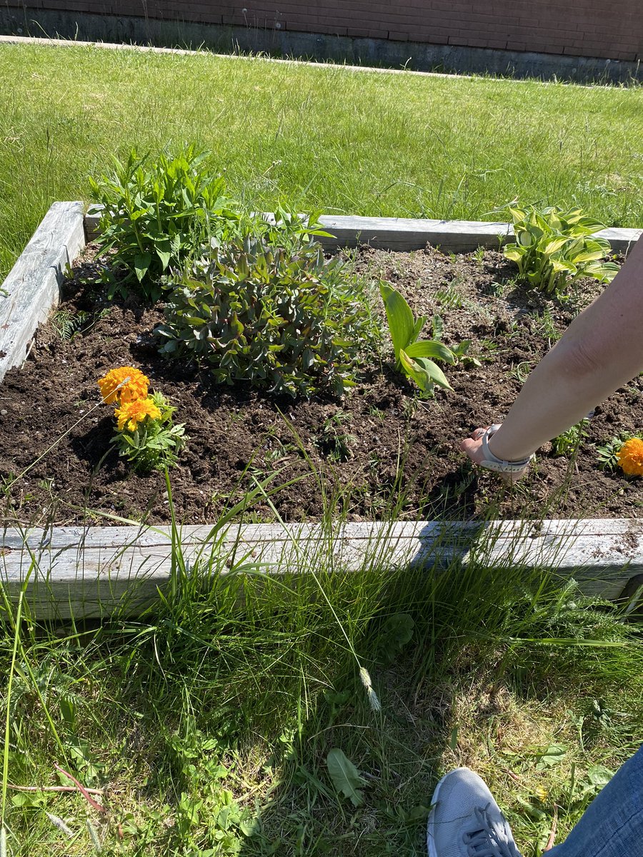 NoftallClass's tweet photo. A great day of planting today! @AndreaCoffin76 @UGEABC https://t.co/4l49SFGxbH