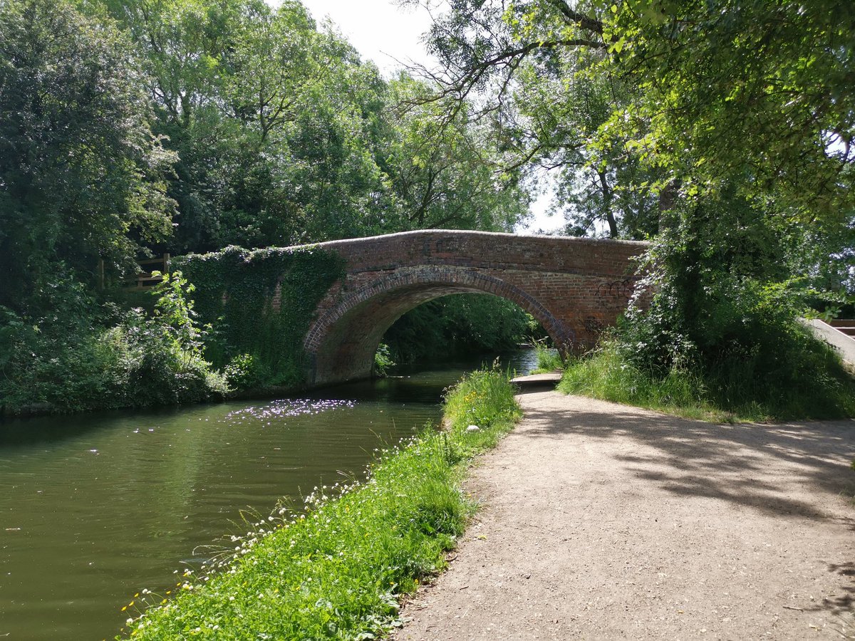 Daxa_PJA's tweet photo. A few more pics from today's walk at #EverardsMeadows along the #GrandUnionCanal, #RiverSoar...💞 https://t.co/GpZmjojBVL