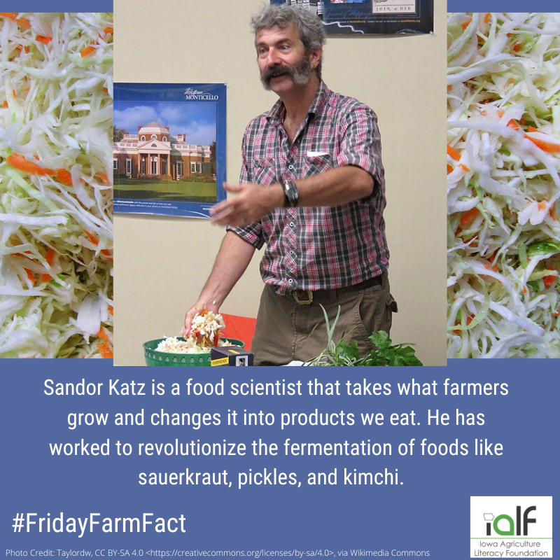 IowaAgLiteracy's tweet photo. Many jobs and industries revolve and rely on agriculture. Learn more about the agriculturalist and food scientist, Sandor Katz, through the children's book, Sandor Katz and the Tiny World, by Jaqueline Briggs Martin and June Jo Lee. #FridayFarmFact 

@ReadersToEaters https://t.co/3Kz9H2s6KV