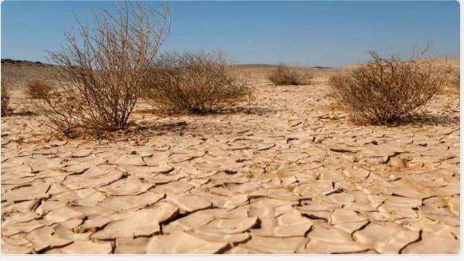 ApebEnvironment's tweet photo. La Journée Mondiale de lutte contre la #désertification et la #sécheresse se célèbre le 17 juin de chaque année. Le thème 2022 est: 《 Se relèver ensemble de la sécheresse 》. Un thème qui nous interpelle tous sans exception. Ensemble agissons.
#TogetherWeCAN
#pnue
#APEB https://t.co/amEnZOztLa