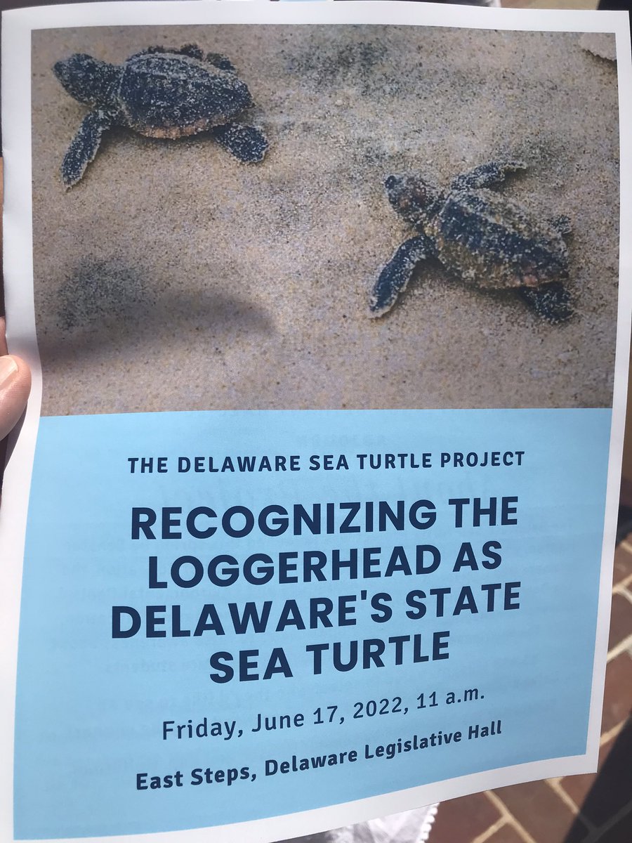 Eugene Montano (@eugene_montano) on Twitter photo The Delaware Sea Turtle Project-The Loggerhead is now Delaware’s State Turtle- congrats to Capital’s student artists Aurora, Natalie, & Wilsah, as well as our essay contest winner Chloe! Thank you teachers for supporting our students! <a href="/lacey_dixon/">Lacey Dixon</a> <a href="/CathyS_csd/">Cathy Schreiber</a> <a href="/ShawndellSolom1/">Shawndell Solomon</a> The Delaware Sea Turtle Project-The Loggerhead is now Delaware’s State Turtle- congrats to Capital’s student artists Aurora, Natalie, & Wilsah, as well as our essay contest winner Chloe! Thank you teachers for supporting our students! <a href="/lacey_dixon/">Lacey Dixon</a> <a href="/CathyS_csd/">Cathy Schreiber</a> <a href="/ShawndellSolom1/">Shawndell Solomon</a>