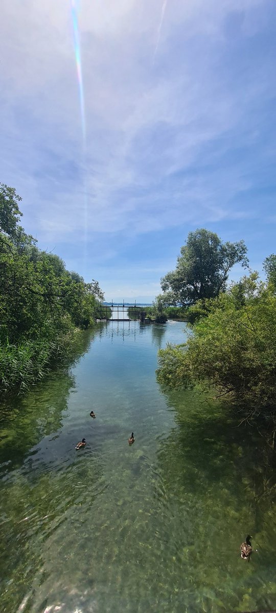 What a day - biking in Zürich 
(wie had dat ooit gedacht)