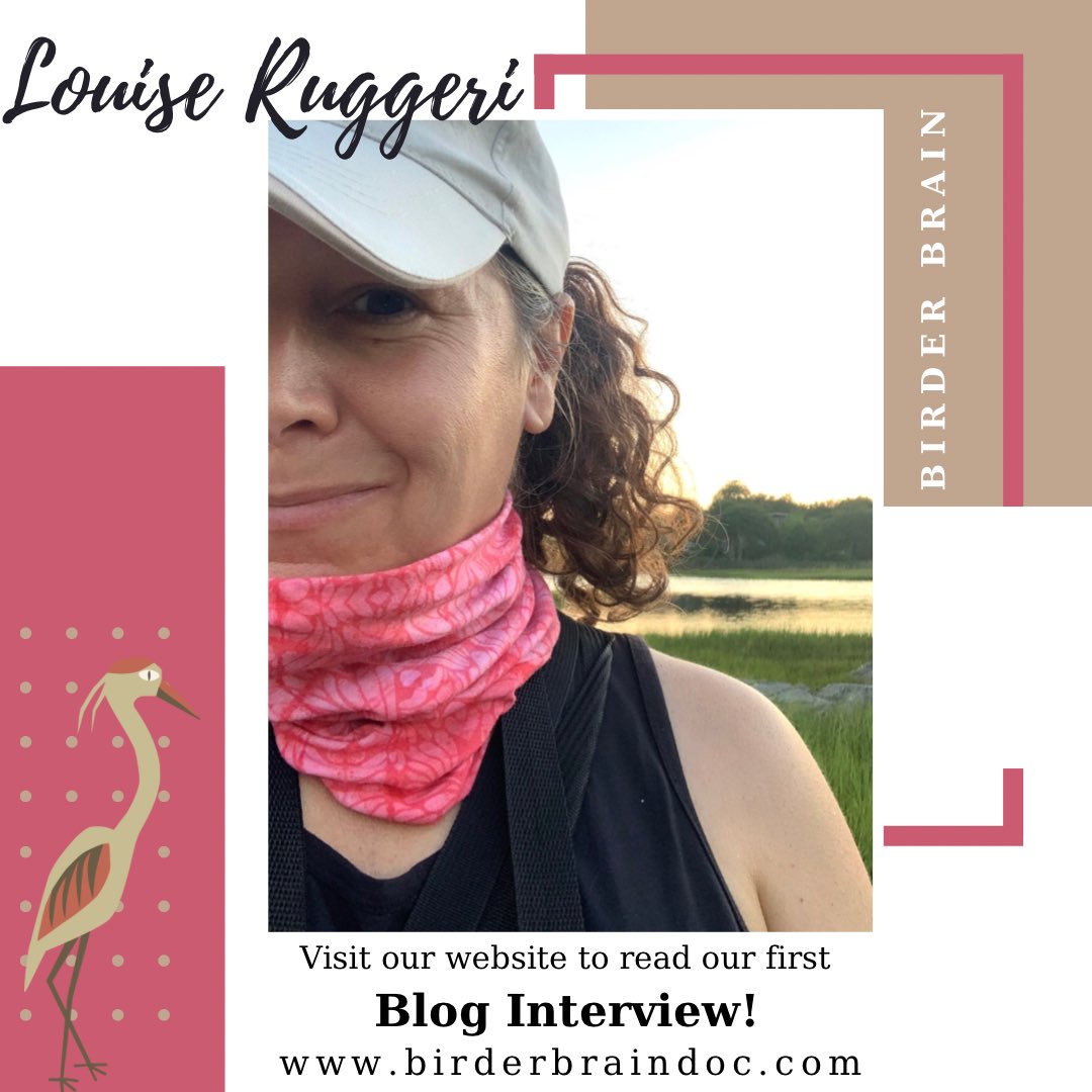 birderKS's tweet photo. My first ever Birder Brain blog interview is up! Hope you will take a few minutes to read it. https://t.co/yvRWuKEksz
#birderbrain #birdwatching #birdingastherapy #birdtwitter #birder #birding #blog #bloginterview #cptsd #Mentalhealth #MentalHealthMatters #naturetherapy https://t.co/20OAopnGPn