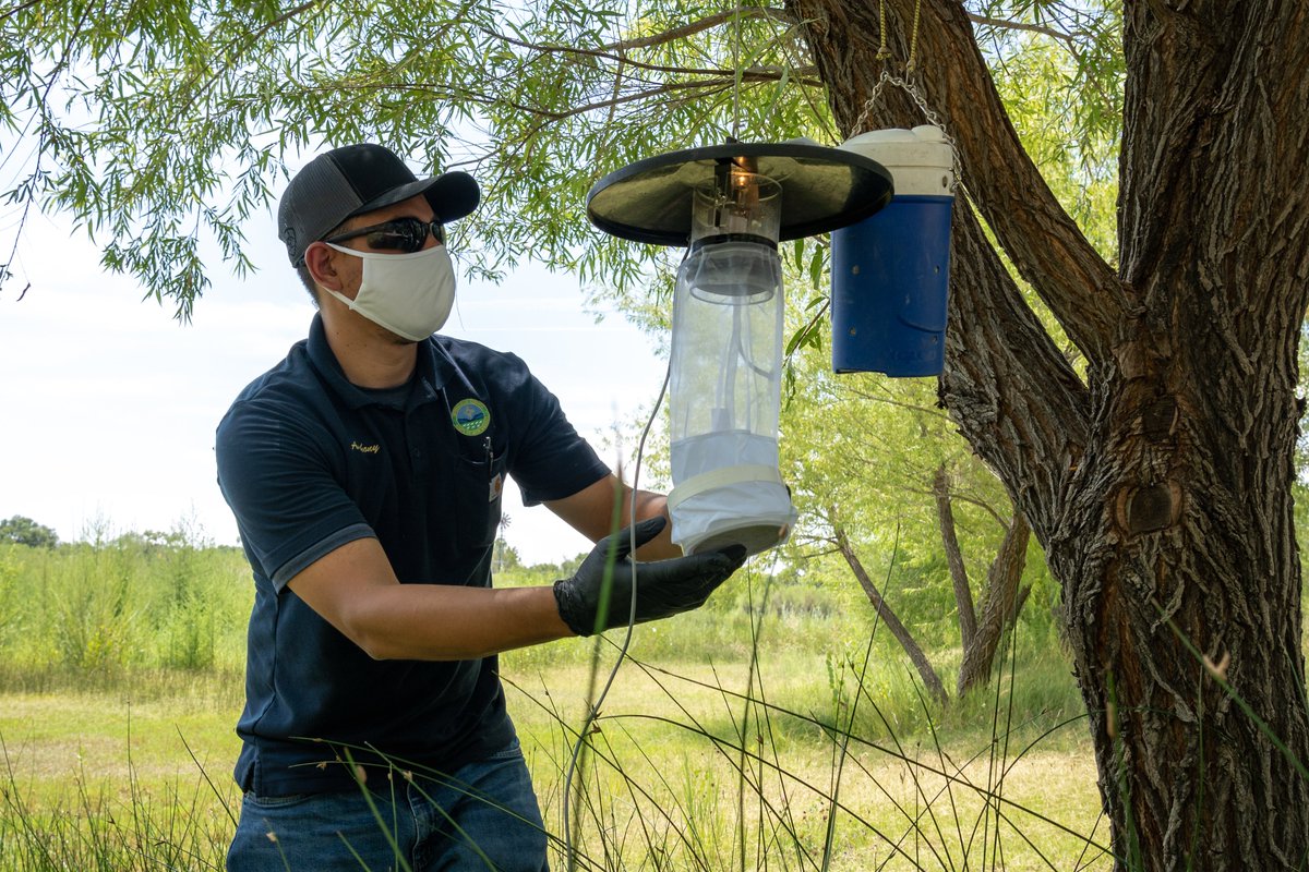 CABQEHD's tweet photo. Have you ever spotted one of these in Albuquerque? These are one of our mosquito traps! We trap mosquitoes for our surveillance and disease testing program.
#MosquitoControlWeek @AMCAmosquito https://t.co/7HhglhJ3az