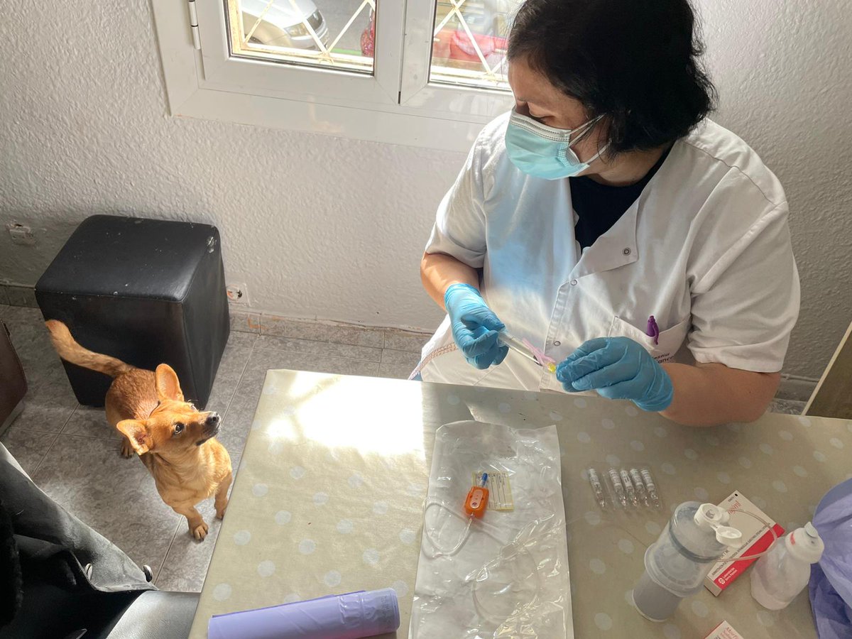 Lorena Rodriguez fernandez tweet media