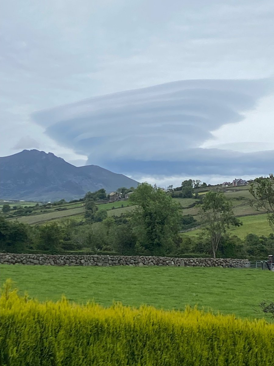 Michael O'Clery tweet media