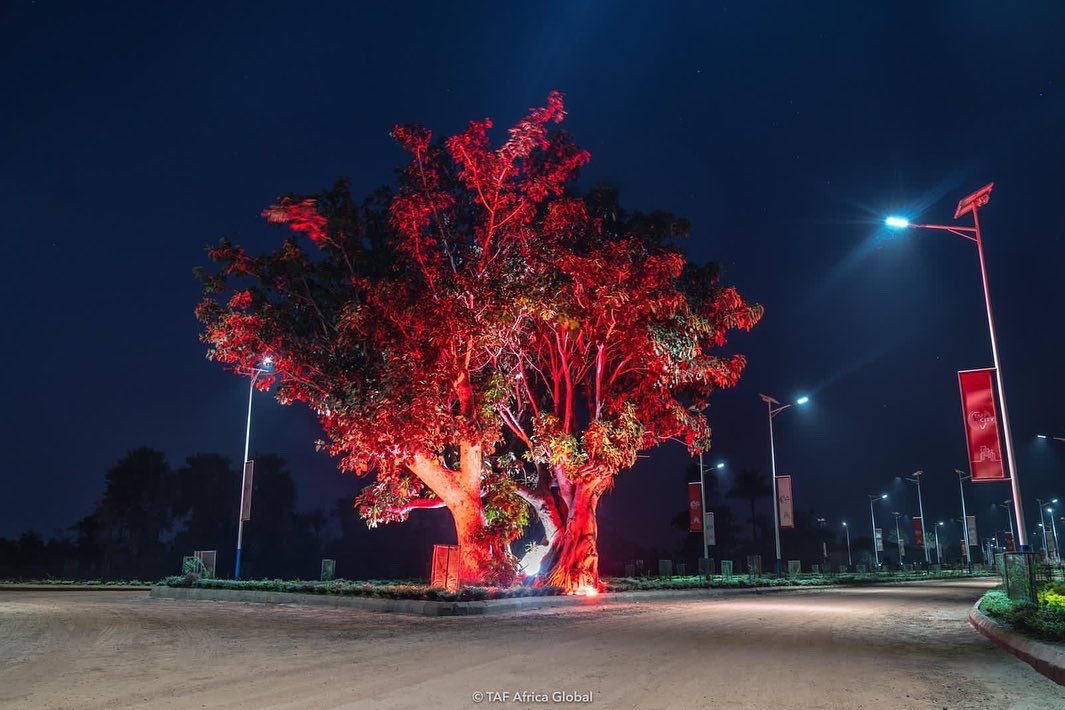 tafafricaglobal's tweet photo. As the sun sets tonight we Introduce the stars at TAF City:

1. The biggest Roundabout in The Gambia
2. The TAF Legacy Tree 
3. The construction trucks that keep the city growing; estate by estate
4. The TAFTukTuks that work all day and rest at night

Welcome to TAF City by night https://t.co/osLgI8wX1U