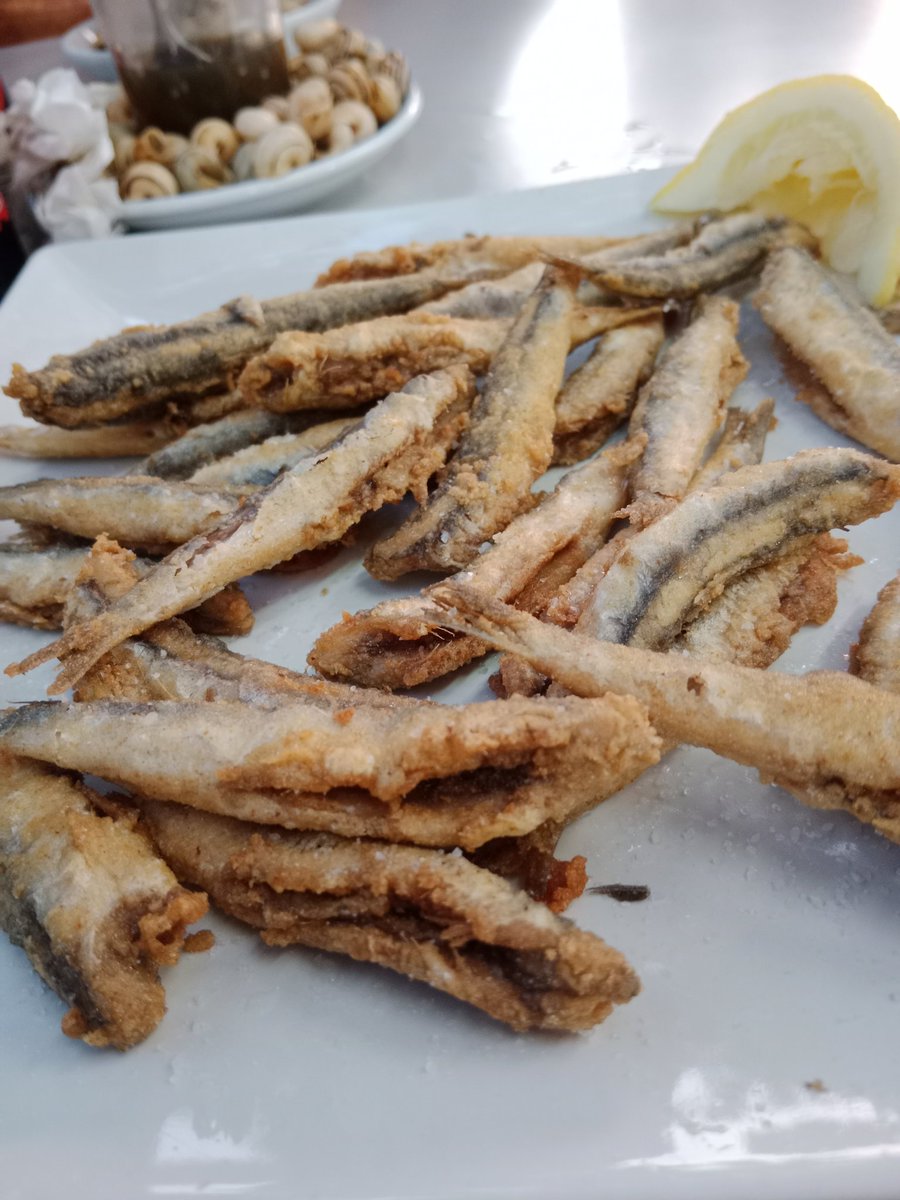 marfilmanzana6's tweet photo. Pero qué ricos estos boquerones que nos hemos comido
"el maestro y yo"
#devicio https://t.co/4KfOXrxKbR