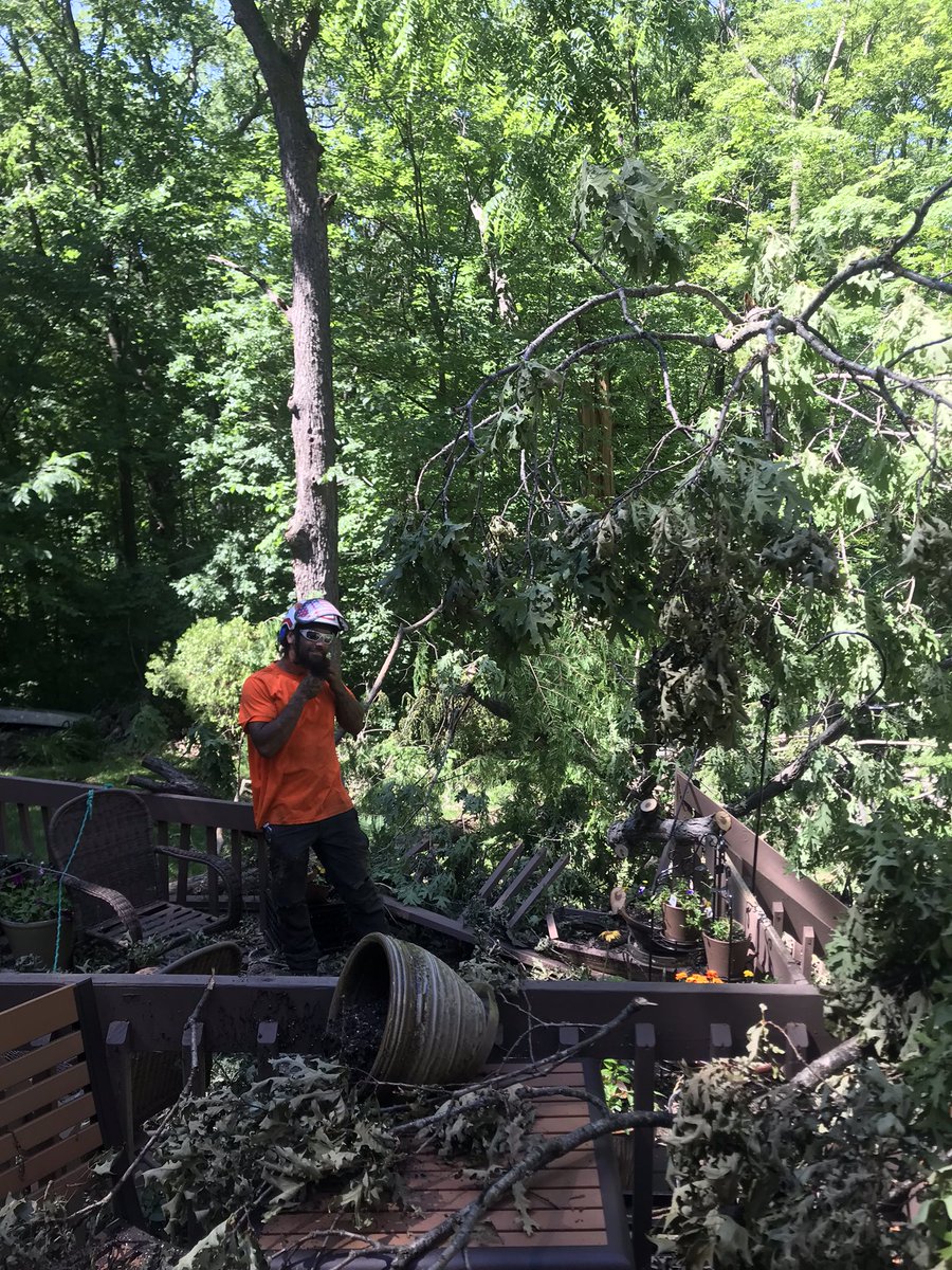 bagough's tweet photo. SO thankful to see these guys!!  A big shoutout to Monster Tree Service!! #Appreciation https://t.co/a1b0R2C58i