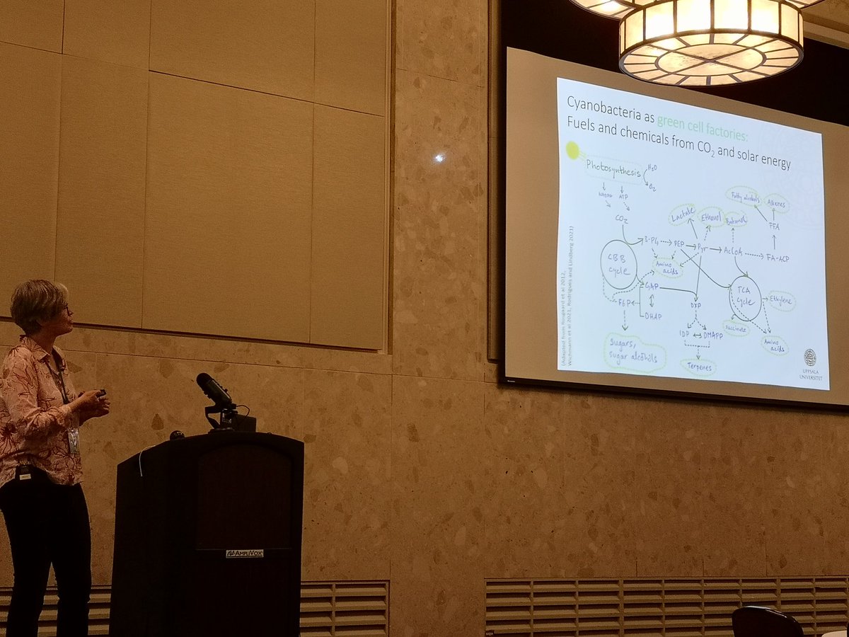 JoaoRod27's tweet photo. Great talk on metabolic engineering of #cyanobacteria by Dr. Pia Lindberg at #cyanocon14! https://t.co/fvOQGqIuc5