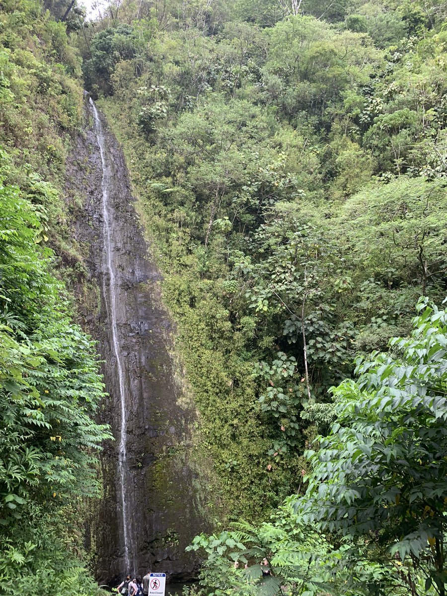 Hawaii ❤️🌴