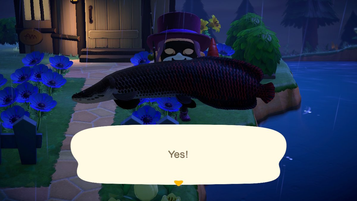 layznlaura's tweet photo. #AnimalCrossing #ACNH #NintendoSwitch https://t.co/zMIbAGB3Lb