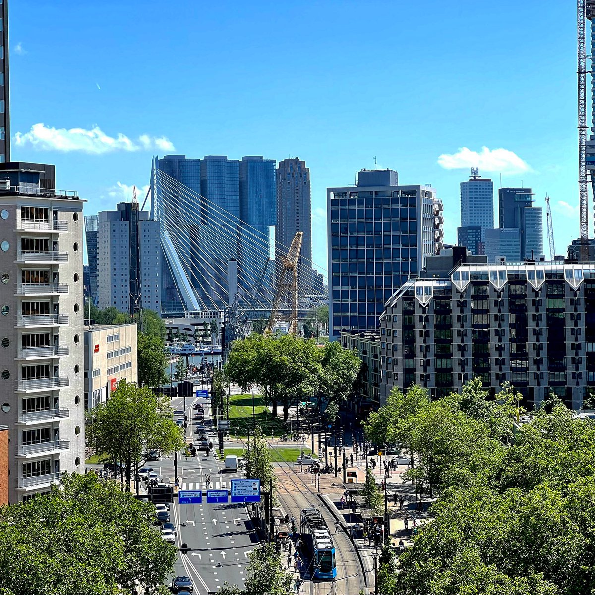 This is #rotterdam
#rooftopwalk
#erasmusbrug
#derotterdam
#coolsingel