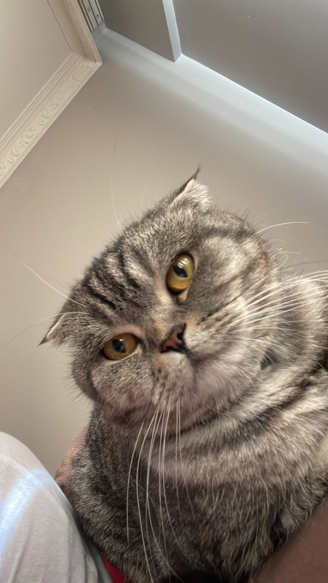 Bihter (@bihterrr231) on Twitter photo 