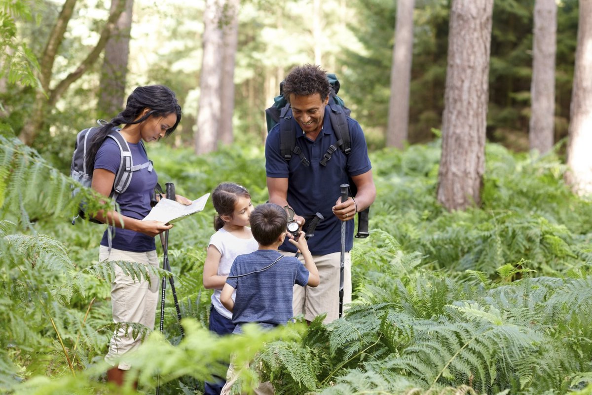 WhiteMountainNF's tweet photo. Father's Day is a great day to take Dad and the whole family out exploring in the forest! https://t.co/0Hc5nVwcs7