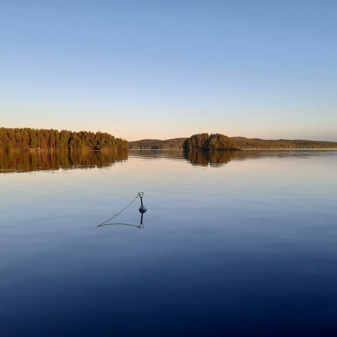 Tyyntä  ja kaunista. #Päijänne #lehtinen #kesäilta