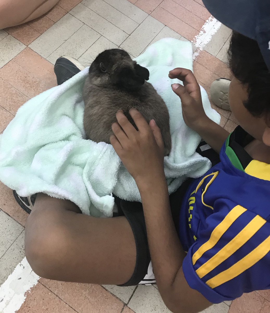 What could be better than meeting a real bunny at school! Our kinders loved their Pawsitively Pets adventure today.