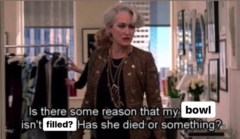 My dog when I am one minute late to feed him