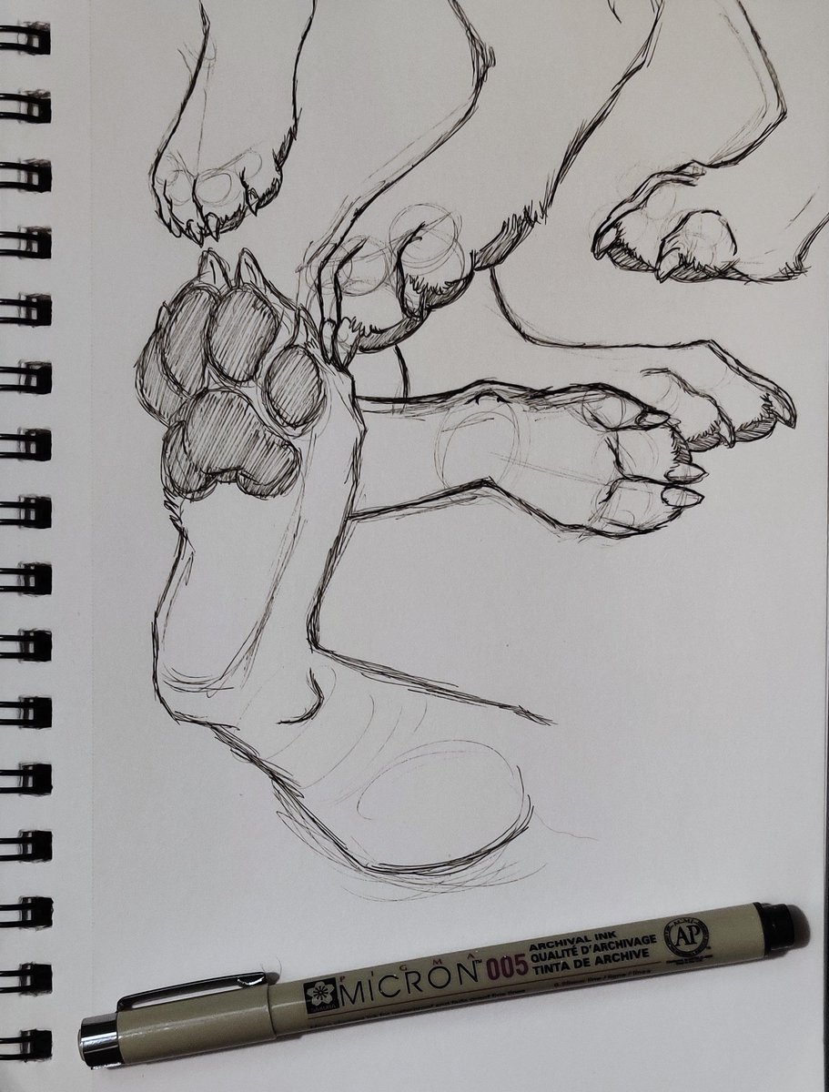 Oakpaw's tweet photo. Paw practice for tonight ^^ https://t.co/owYoFAYURP