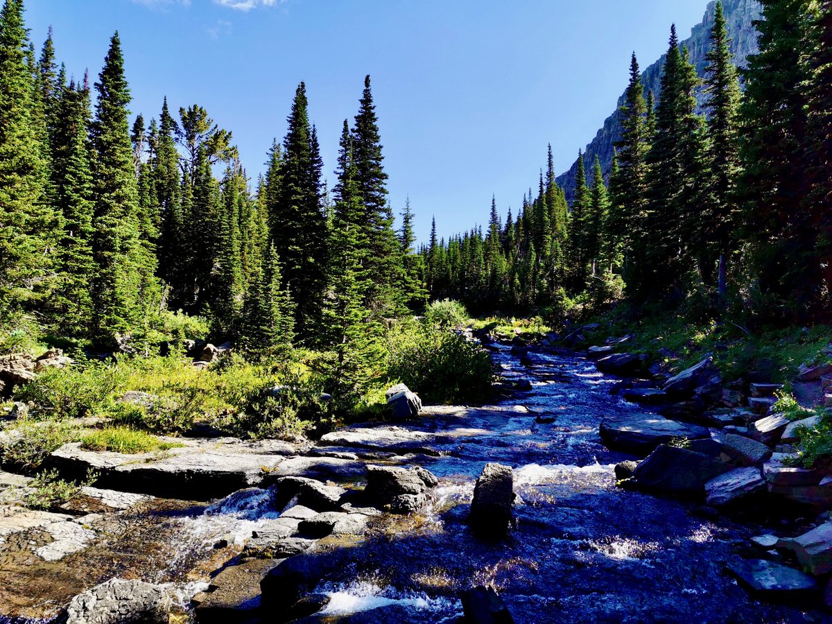 Forget about stock market, forget about crypto space, forget about gas fee, and forget about food price ☹️ Enjoy nature; have a nice weekend 😎

Glacier National Park, Montana