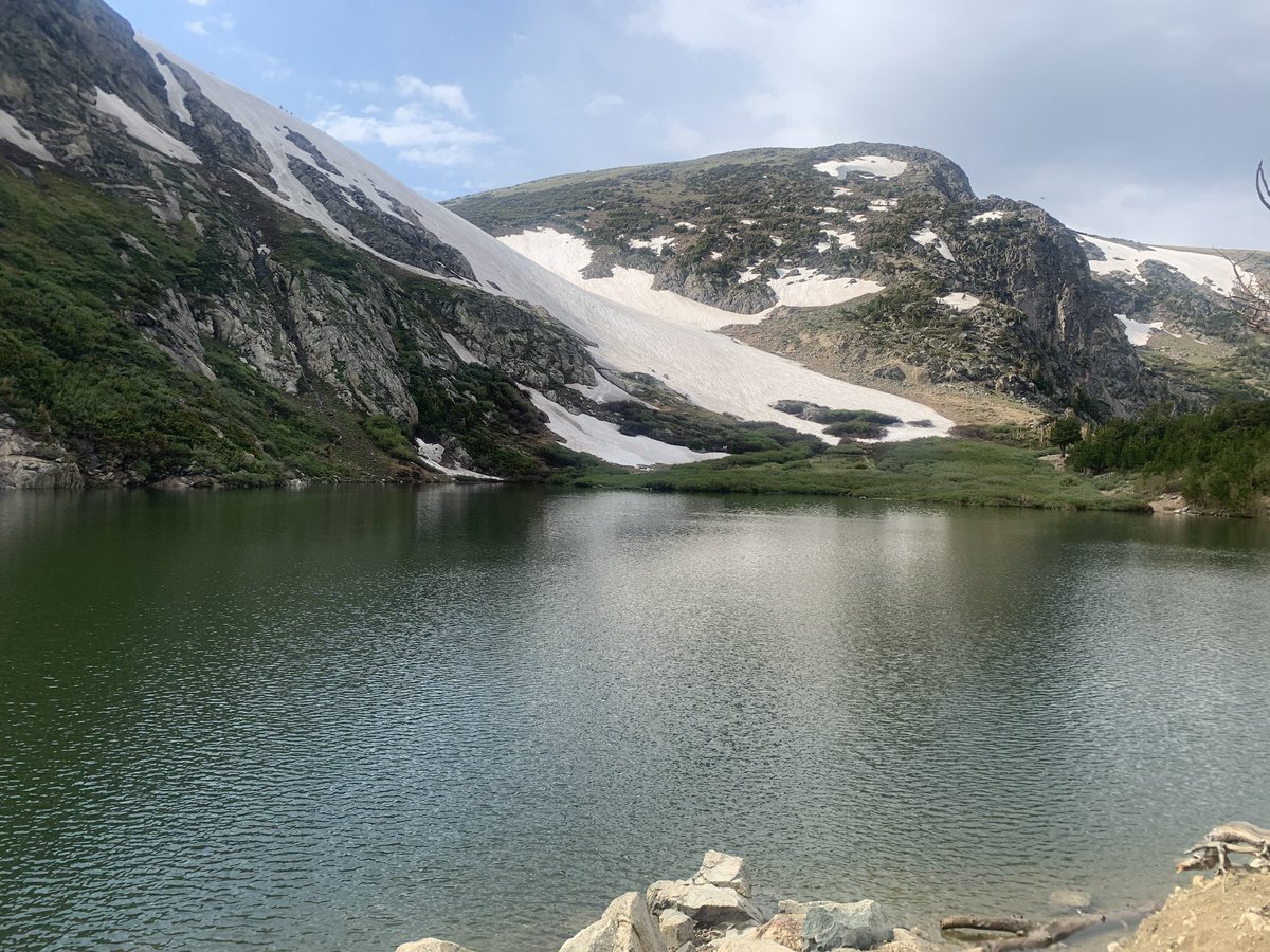 LSW Baseball tweet media