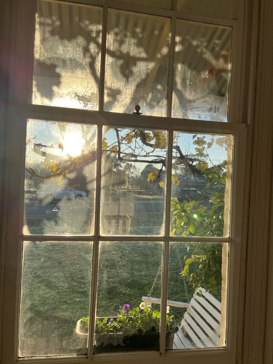 nbeth's tweet photo. Makes my heart sing to see some #sun. Grateful for the #liftInSpirits. https://t.co/pSvQxaKOGr