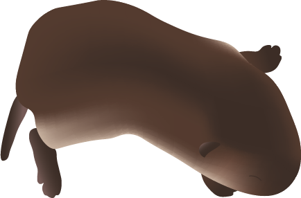 Rikki Serafina Laser tweet media