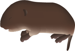 Rikki Serafina Laser tweet media