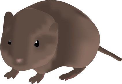 Rikki Serafina Laser tweet media