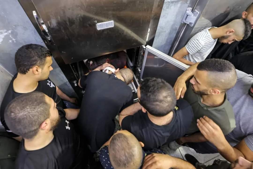 actforhumanity tweet media