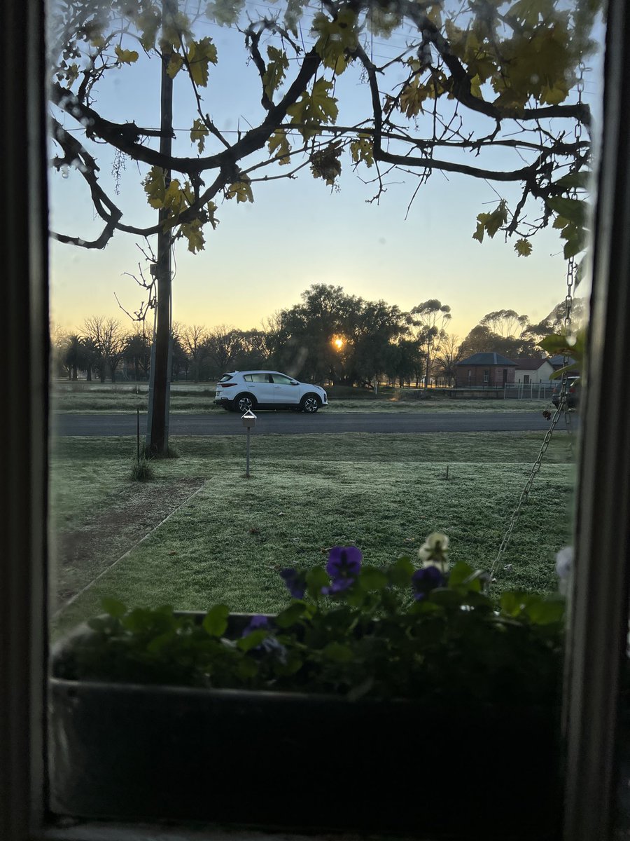 nbeth's tweet photo. Makes my heart sing to see some sun. Grateful for the lift in spirits. https://t.co/qaKZxk1DPH