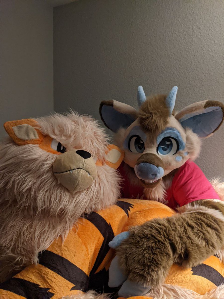 I made a new friend today!!! They are very soft and cuddly :3
#FursuitFriday 

📸: <a href="/GalaKingdom/">Sage🪻</a> 
✂️: <a href="/lemonbrat/">Lemonbrat 🌈🍋💛</a>