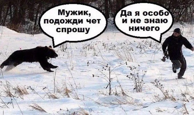 да, боссфайты в вампуре выглядят потрясающе. 