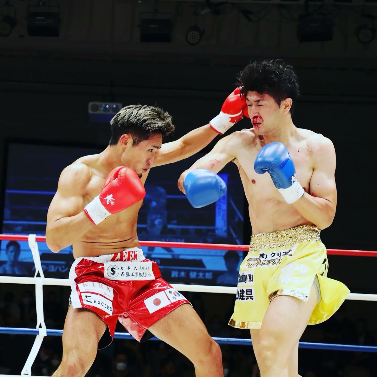 zeekgym's tweet photo. 昨日のKrush.138出場の
パク・ヨハン選手
3-0の判定勝ちを収める事が出来ました🏆️
大会関係者の皆様
対戦して下さった鈴木選手・ジム関係者の方々
試合の機会を頂き誠にありがとうございました。
今後も応援の程宜しくお願い致します❗
#Krush138
#パクヨハン
#ZEEKジム https://t.co/NYnhIBRBKz