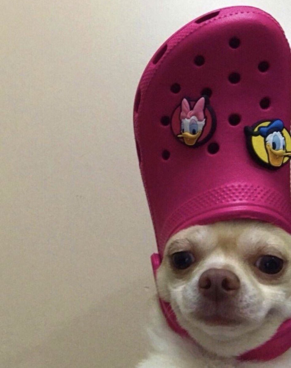 มึง ทำไมต้องเปนชิวาว่าตลอดเลยวะที่ทำไรแบบนี้