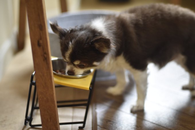 Twitterのコスプレ画像21