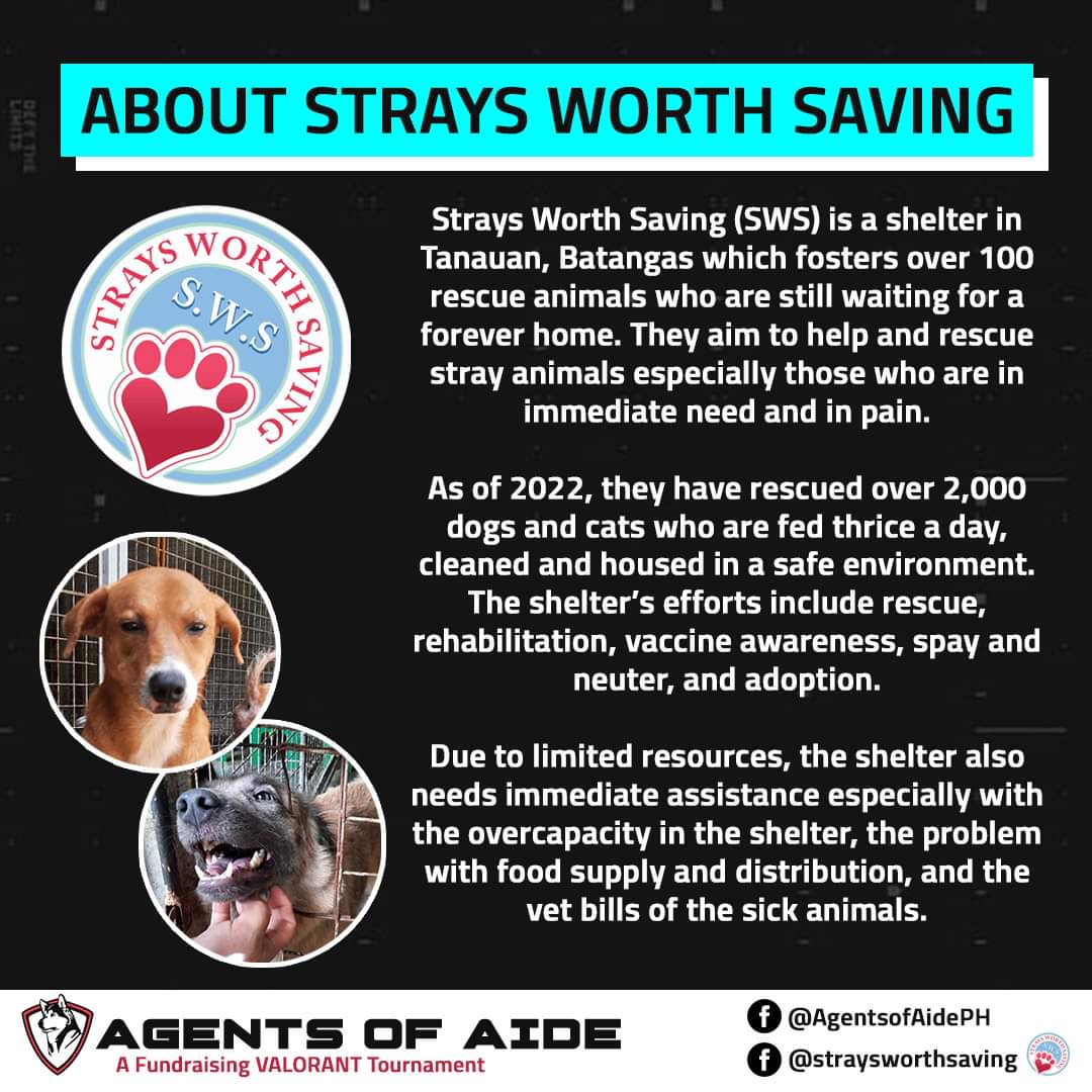 Hello everyone!
My friends and I will be competing under Team CVG for this tournament later, hopefully we get thru the elims for today! ✨

I also would like to highlight the beneficiary of this Valorant tournament for a cause: Strays Worth Saving - SWS !!!