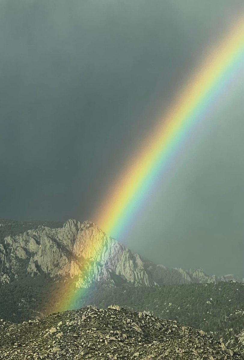 Roz (@roz15690569) on Twitter photo 