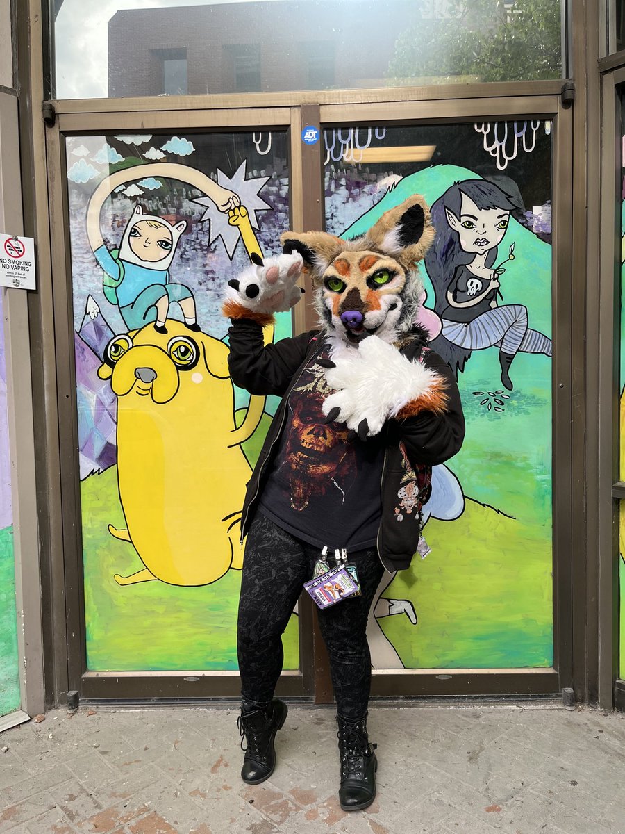 deadland_yote's tweet photo. This coyote is d e a d. I'm so glad it's summer time and the weekend ✨💕 https://t.co/reopStWtPR