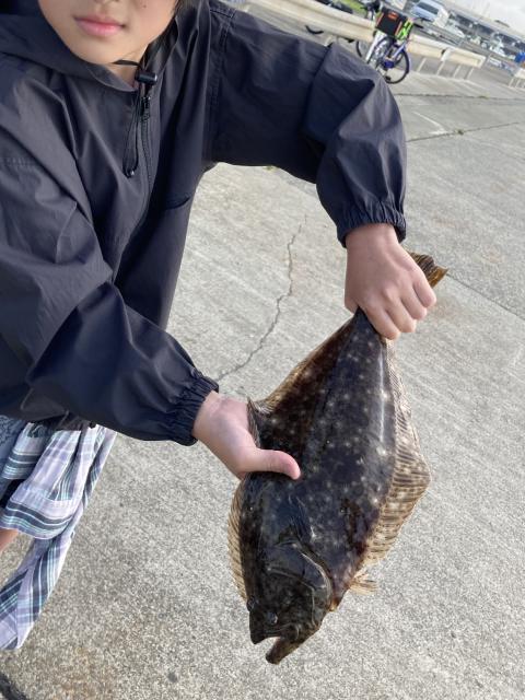 釣りペディア公式 Tsuripedia Twitter 釣りペディア公式 Tsuripedia Twitter